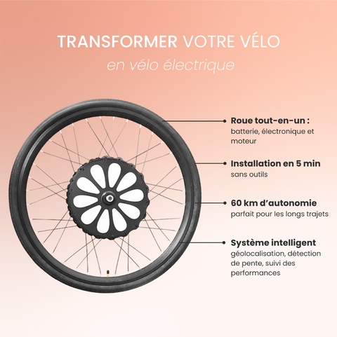 VAE Cosmopolit