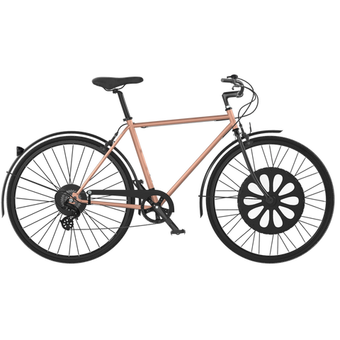 VAE Cosmopolit Reebike