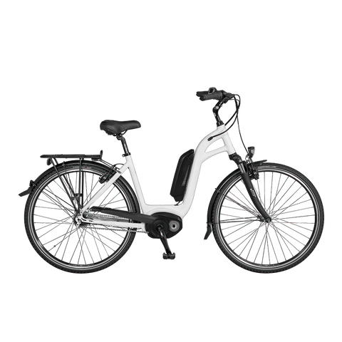 Standard electric bike